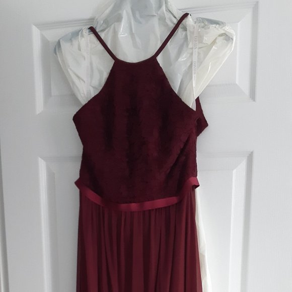 David's Bridal Dresses & Skirts - David's bridal burgundy gown